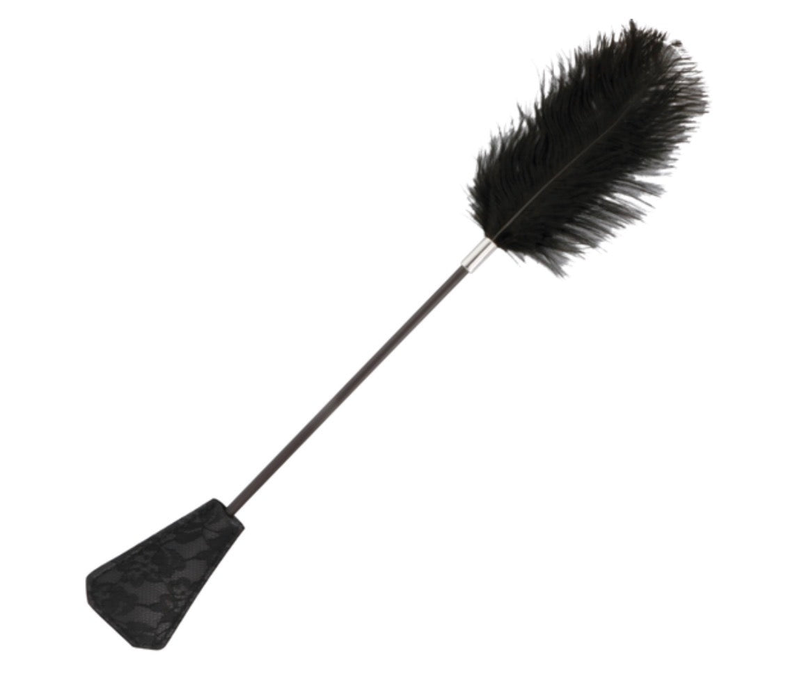 Cravache et plume d’amour 2 en 1 - Darkness