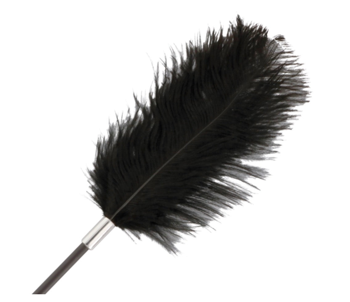 Cravache et plume d’amour 2 en 1 - Darkness