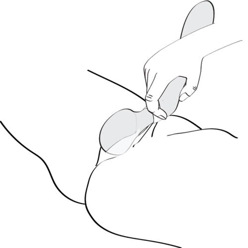 Vibromasseur et Stimulateur clitoridien 2 en 1 Zoa Fuchsia – Shunga